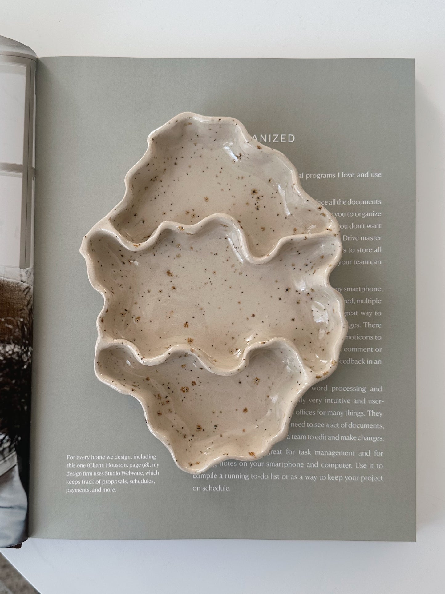 WAVY snacks dish