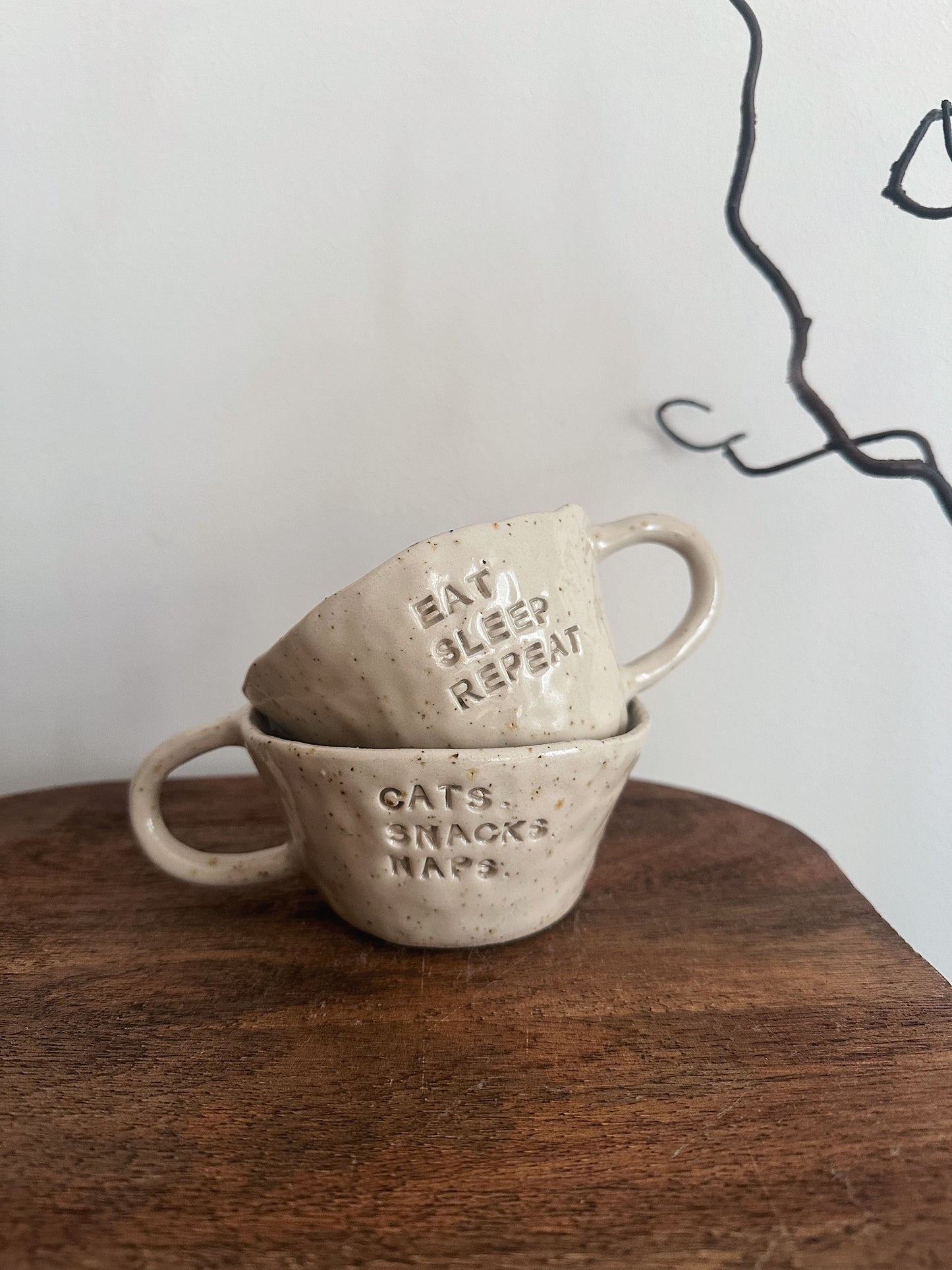 Cats snacks naps mug