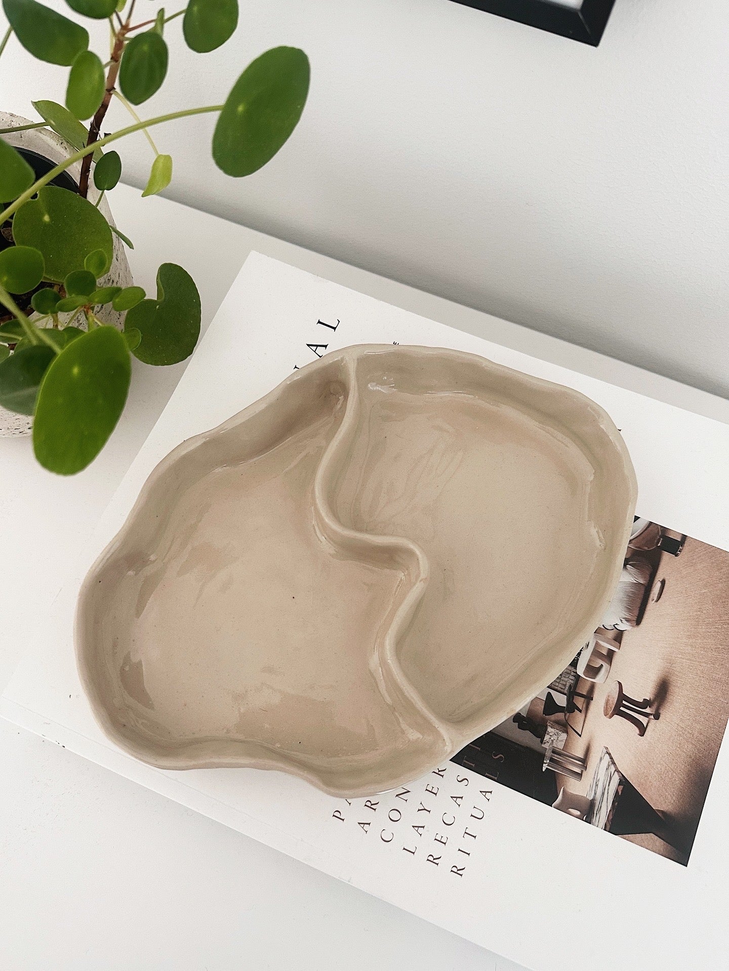 WAVY dish