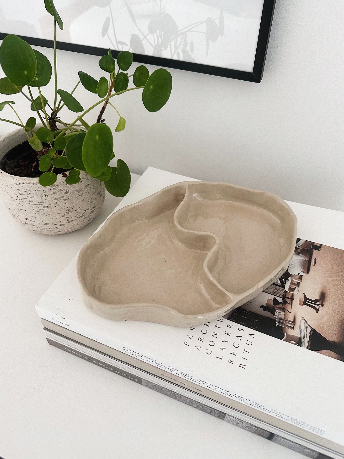 WAVY dish