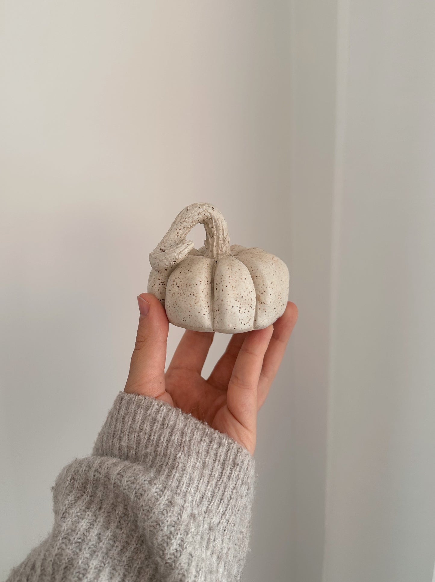 Pumpkin #11