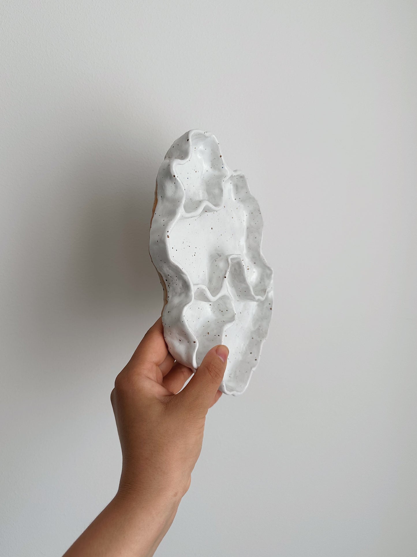 WAVY plate