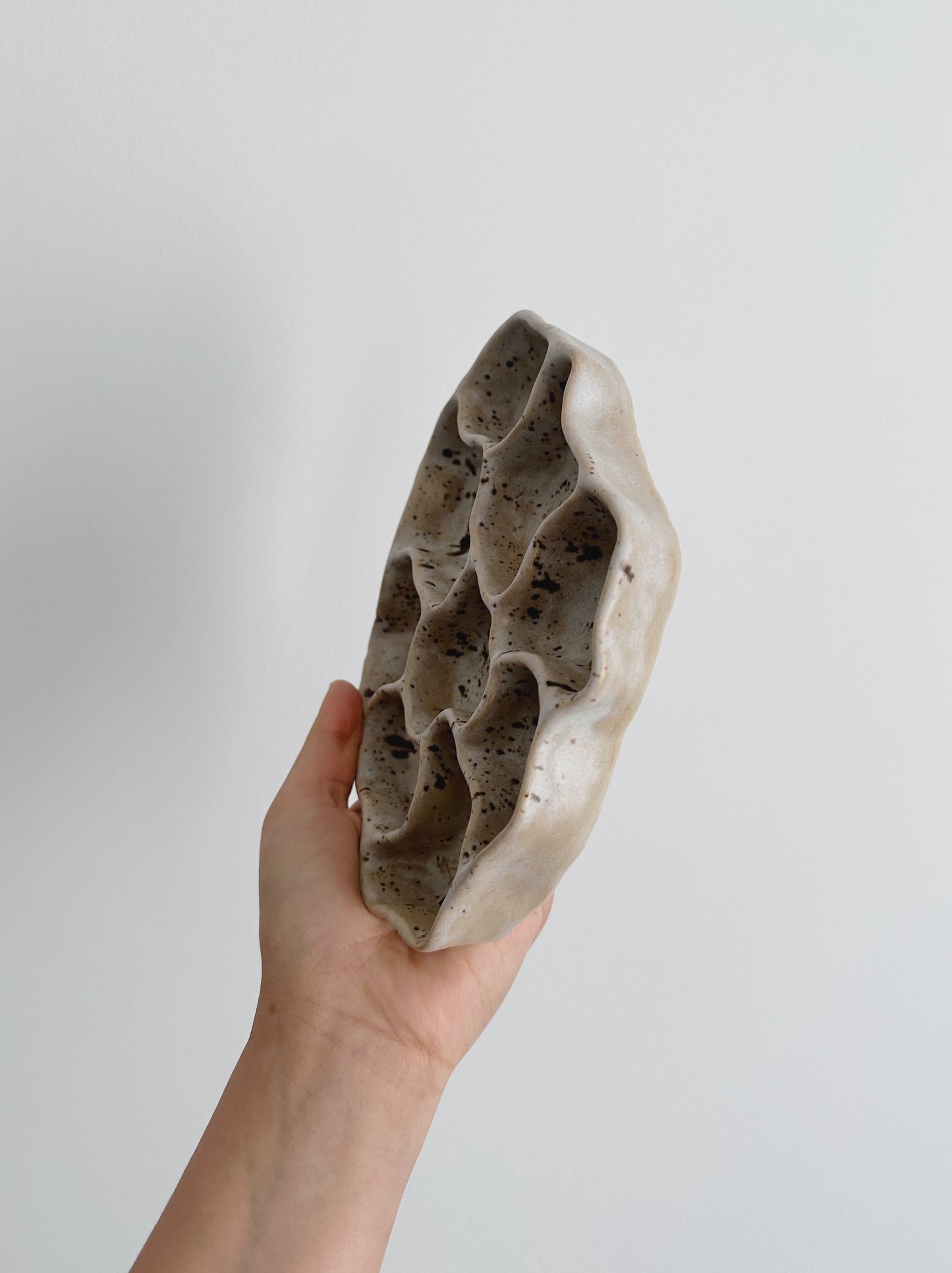 WAVY dish