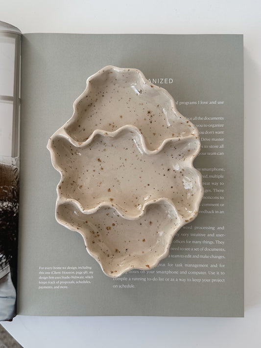 WAVY snacks dish
