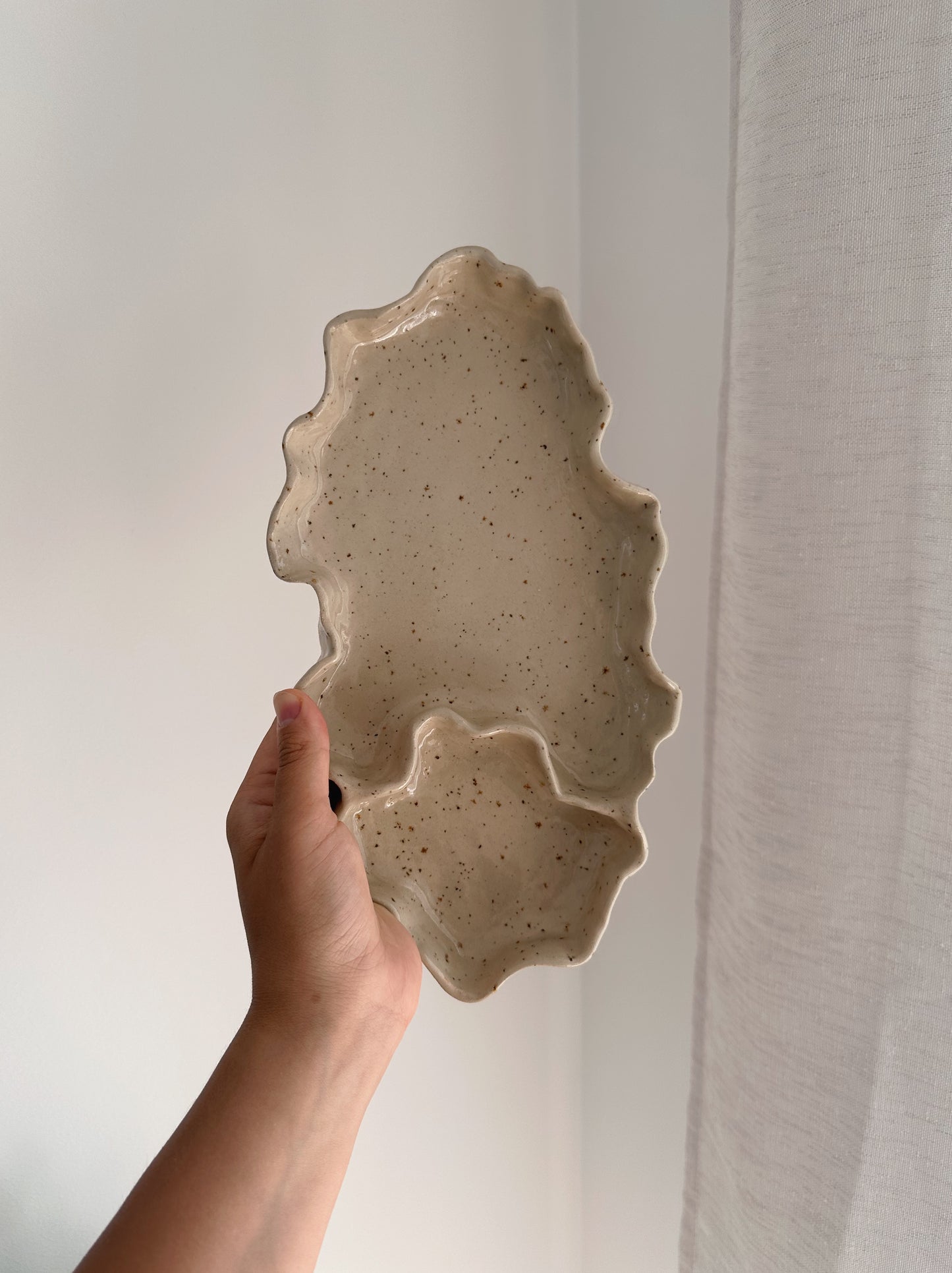 WAVY dish