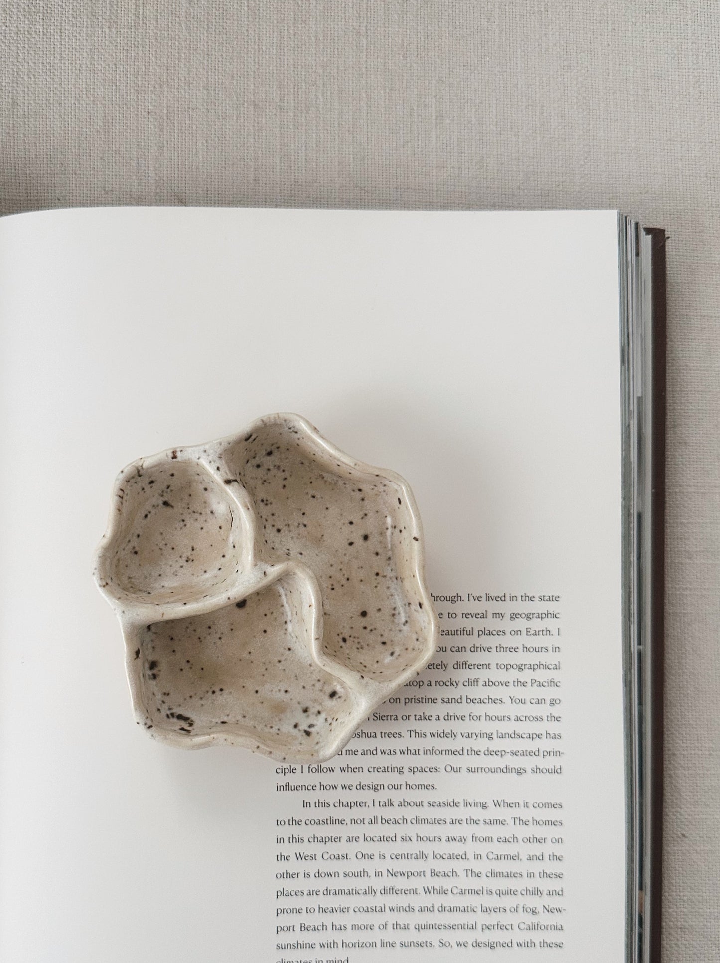 WAVY small jewelry organizer (cracked)