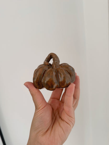 Pumpkin #14