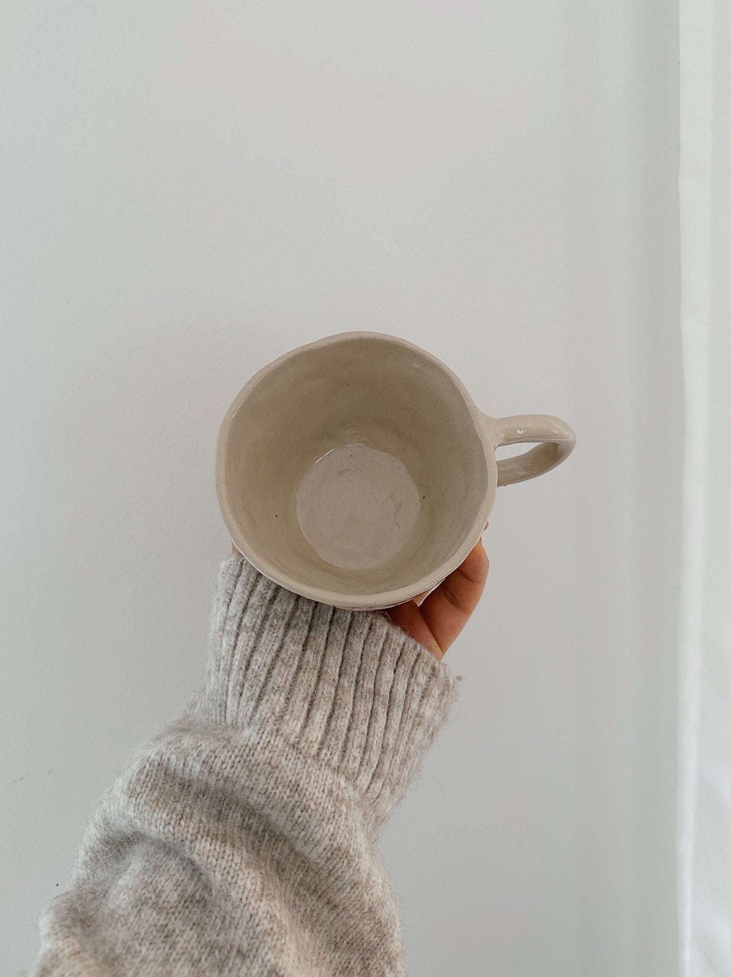 Books. Cats. Naps. mug