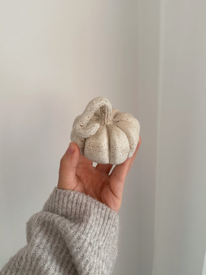 Pumpkin #11