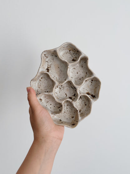WAVY dish