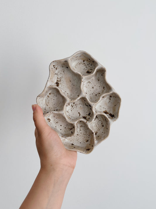 WAVY dish