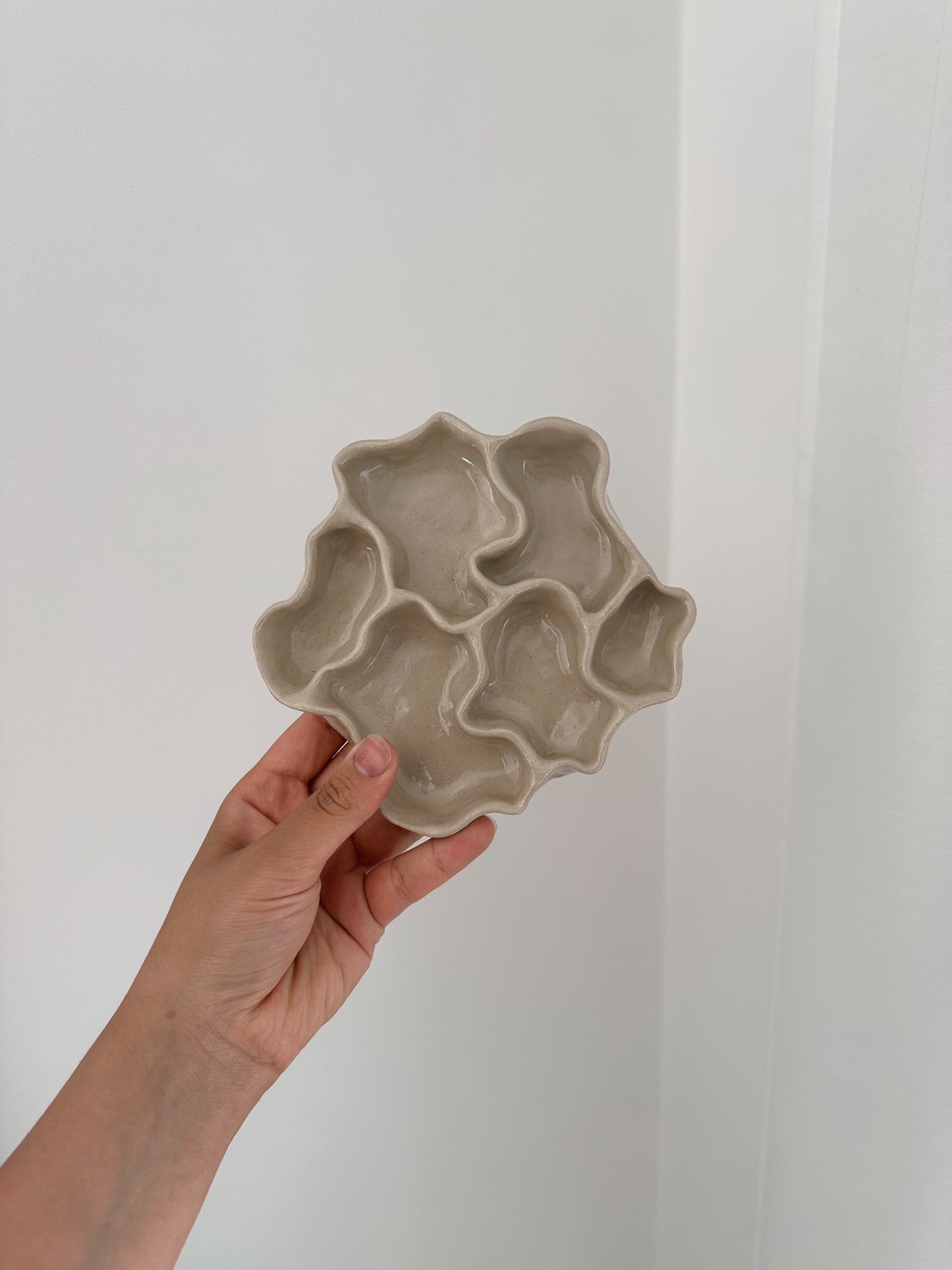 WAVY dish (surface cracks)