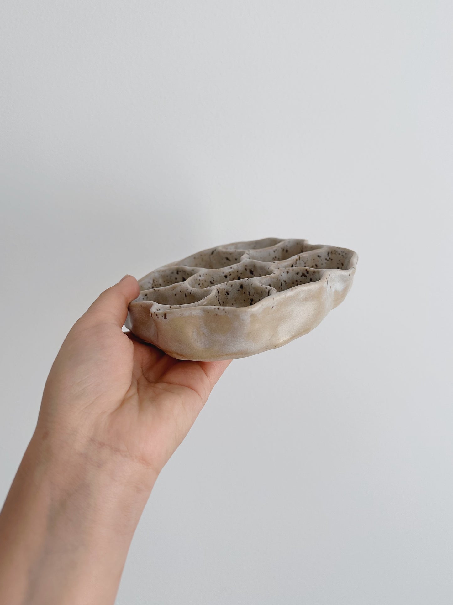 WAVY dish