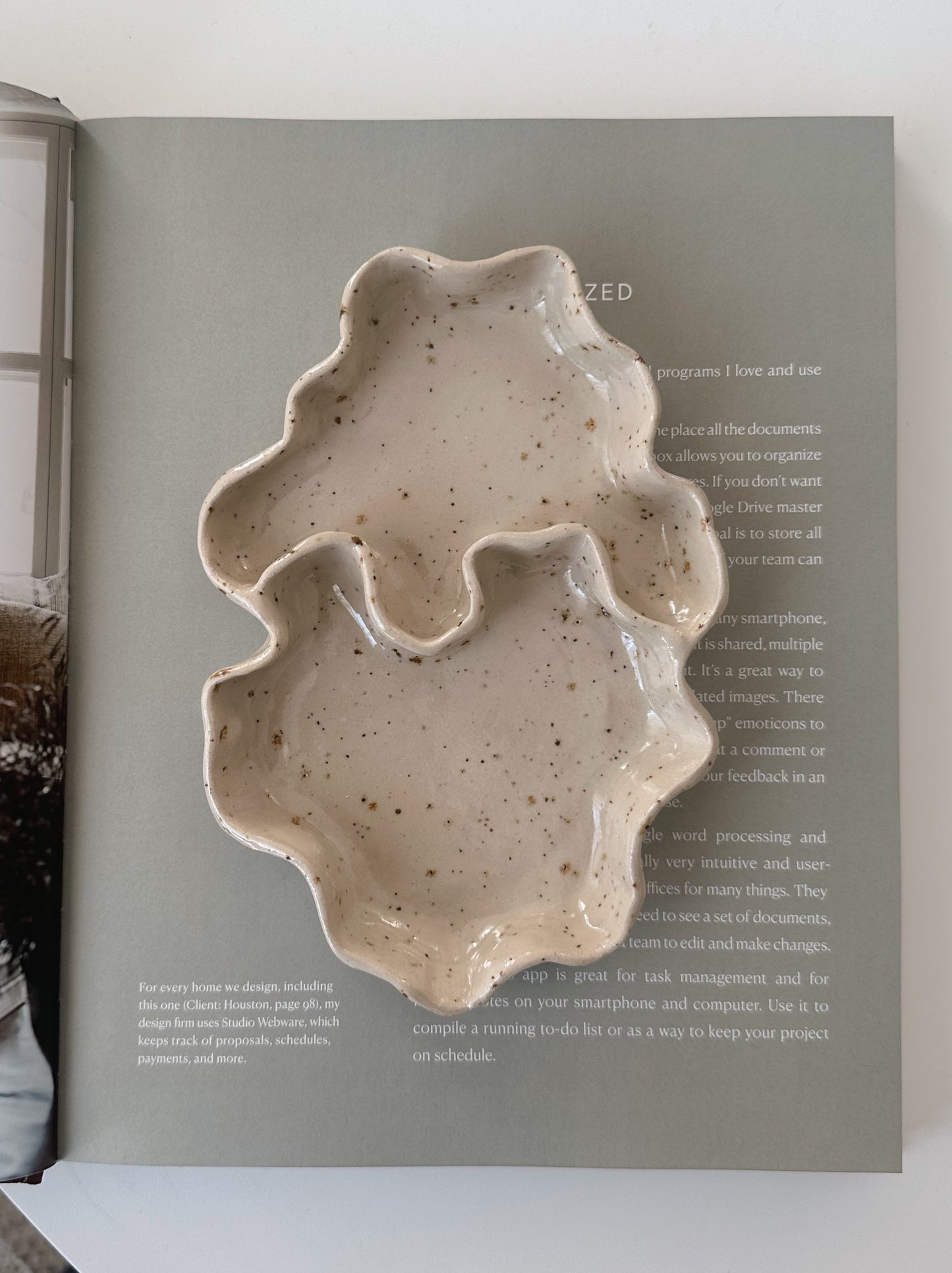 WAVY snacks dish
