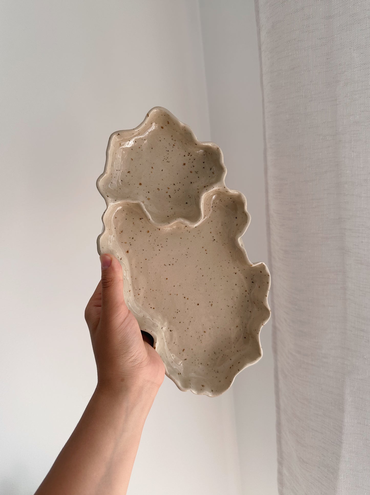 WAVY dish