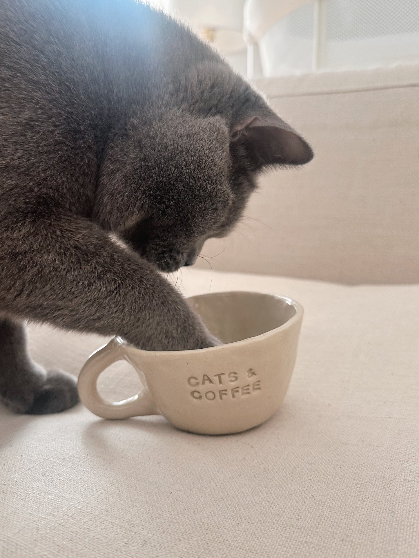 Cats & Coffee mug