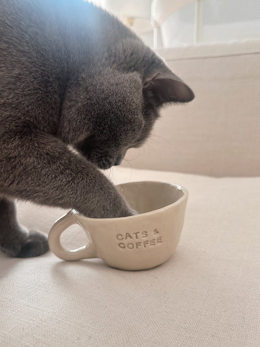 Cats & Coffee mug
