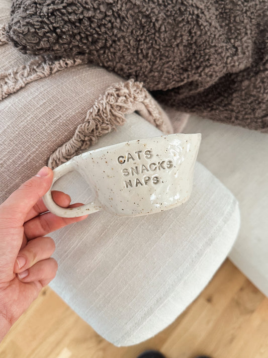 Cats snacks naps mug