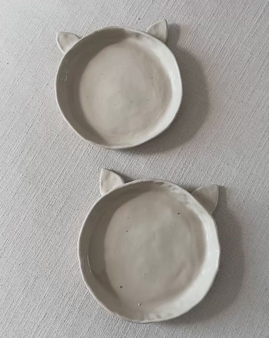 Cat bowl
